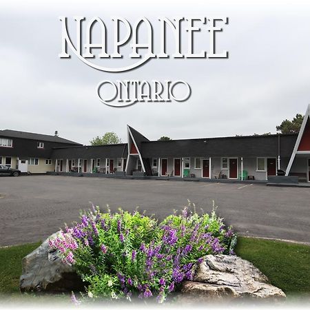 Twin Peaks Motel Napanee Exteriör bild