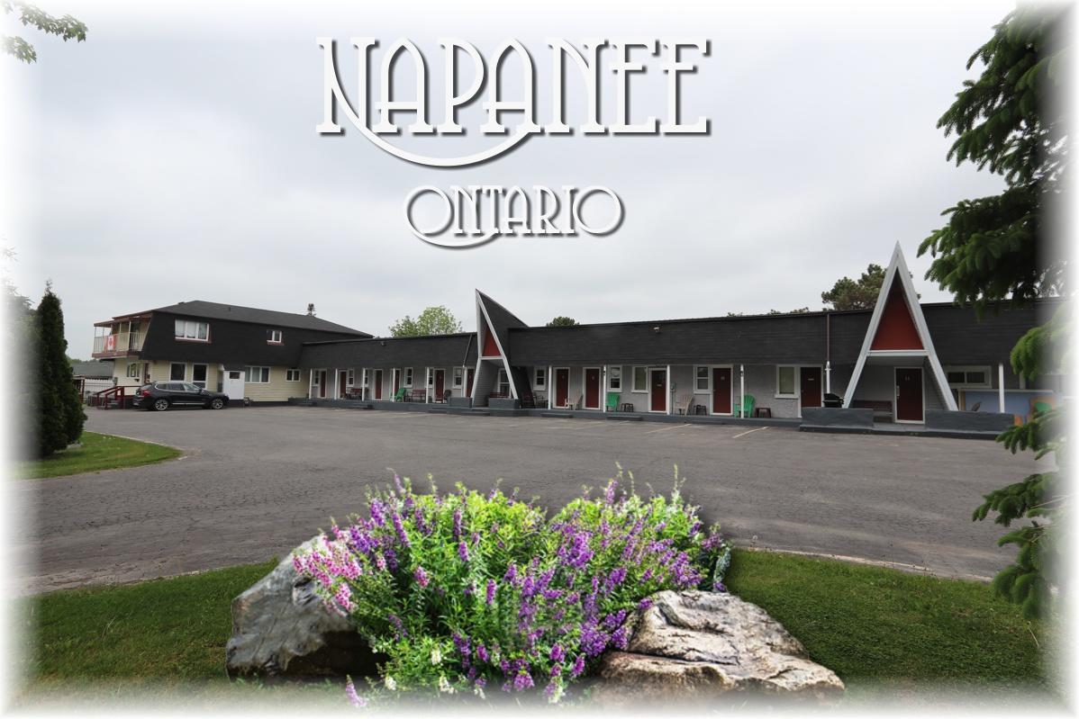 Twin Peaks Motel Napanee Exteriör bild